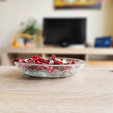 Central Apartments Skopje Apartment